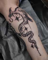 Amphiptere Dragon