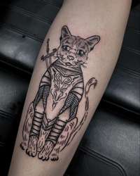 Knight Cat