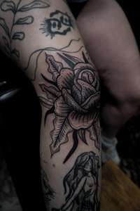 Rose on Knee