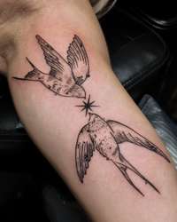 Two Birds